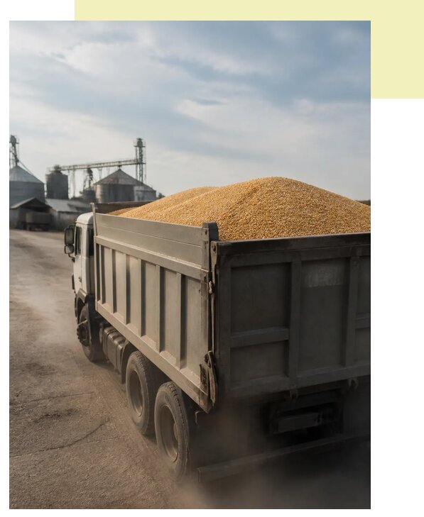 Перевозка сельхозпродукции навалом в Тверь по цене от 3261 р. | Агросервис-Твр