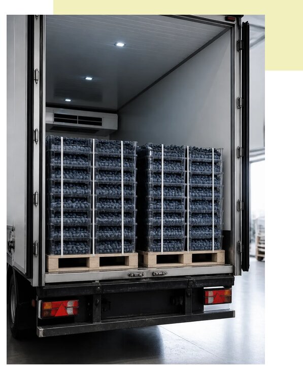 Перевозка голубики рефрижератором в Тверь по цене от 5435 р. | Агросервис-Твр